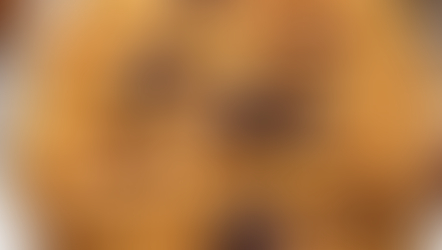 Pumpkin Oatmeal Cookies with Dark Chocolate Delight