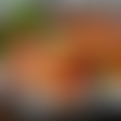 Simple Shrimp Foil Pack Recipe with Fresh Veggies for Easy Outdoor Cooking