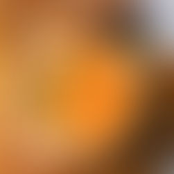 Tomato Soup High Protein