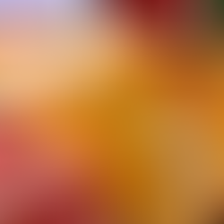 Meatless Qdoba Tacos 