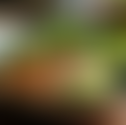 Exploring the Flavorful Combination of Grilled Chicken, Broccoli, and Avocado Bowls