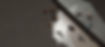 RS_RE_Full_Family_RIE_61_Standard_edited.jpg