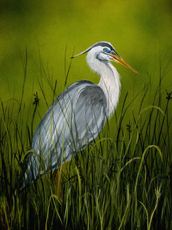 heron.jpg