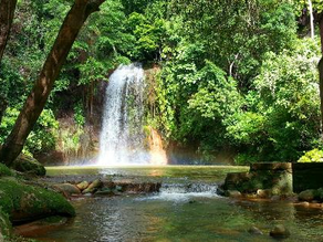 Tasek Lama Recreational Park: Surga Alam di Tengah Kota Brunei