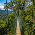 🌿 Taman Negara Malaysia, Menjelajahi Hutan Hujan Tropis  