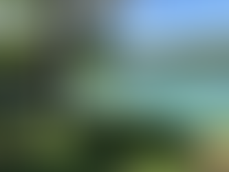 Menemukan Kedamaian di Danau Linow: Surga Tropis yang Memukau