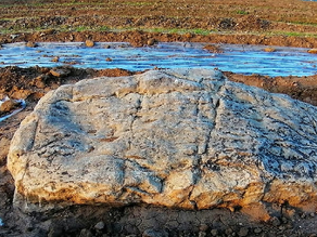 Eksplorasi Gunung Terkecil di Dunia Gunung Wycheproof : Ketinggian Mini dengan Pemandangan Menakjubkan