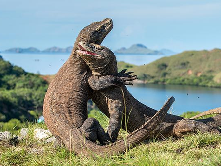 Labuan Bajo: Permata Timur yang Siap Membius Mata dan Jiwa