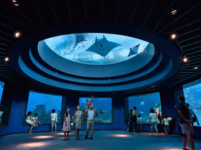 Cara Bawa Anak Tour ke Singapore Tanpa Drama