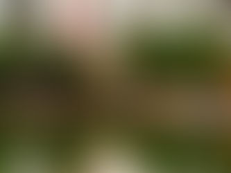 Wisata Ramah Budget di Vietnam: Liburan Seru Tanpa Merogoh Kocek Dalam