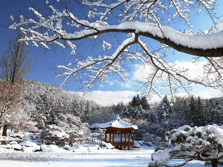 10 Negara yang Cocok untuk Liburan Musim Winter: Indah, Romantis, & Instagramable