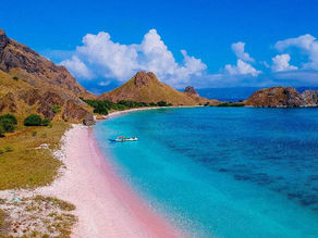 Labuan Bajo: Petualangan Eco-Tourism di Tengah Kekayaan Alam Flores
