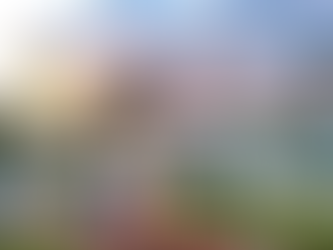 Tempat Wisata Populer di Bintan yang Wajib Dikunjungi Wisatawan