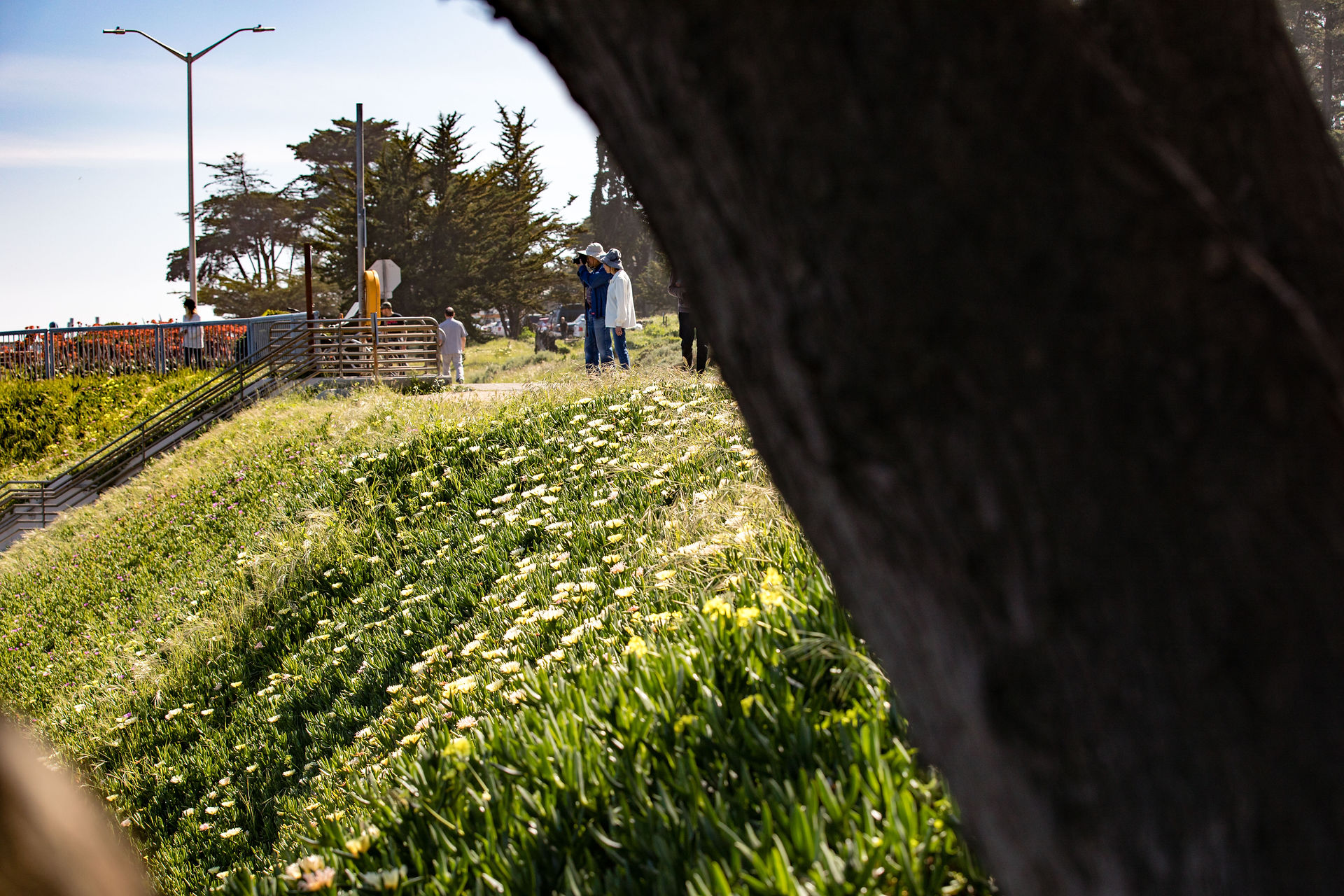 WestCliffSpringColors042018 (2 of 16)