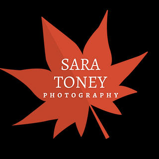 Writer: Sara Toney