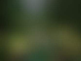 Tools for My Next Assignment