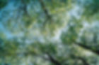 nick-page-1ucxmmvQdgQ-unsplash_edited.jpg