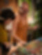 _MG_8317-Enhanced-NR.jpg