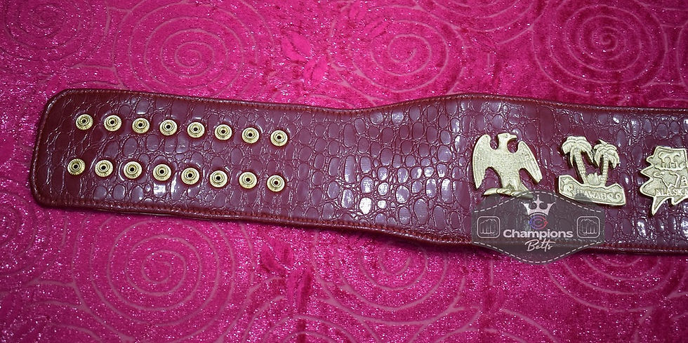 Thumbnail: Old Era USA Heavyweight Championship Read Strap Belt