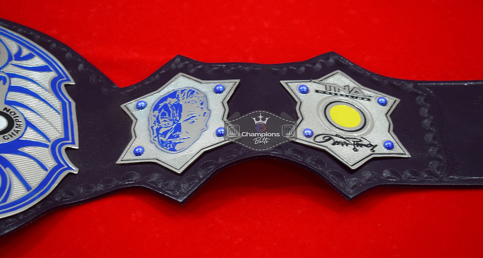 Thumbnail: TNA Immortal Jeff Hardy Championship Belt