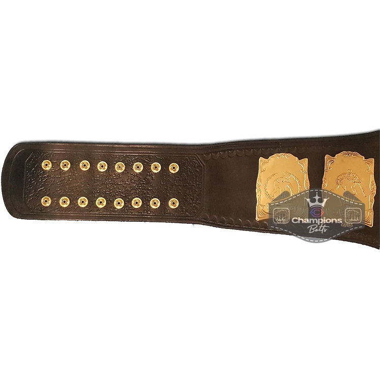 Thumbnail: Unified World Wrestling Championship Belt