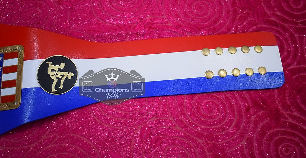 Thumbnail: NWA National Heavyweight Wrestling Championship Belt
