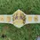 Thumbnail: Jeff Hardy Noir Legacy Enigmatic Immortal Championship TNA Wrestling Title Belt