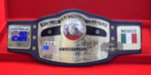 NWA World Heavyweight Wrestling Championship Belt