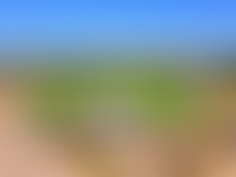 Summer events boost local business income