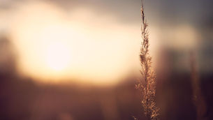 26年1月牧聲：祂陪我走過