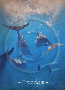 Group of dolphins