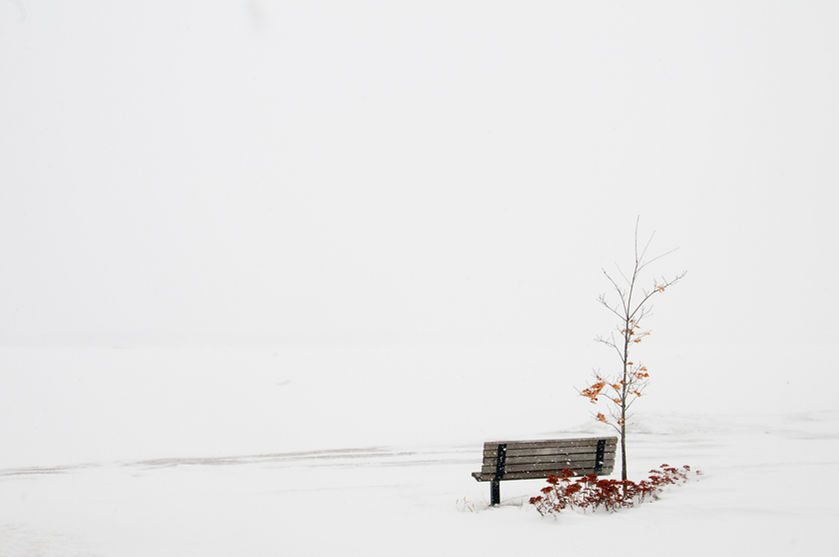 Lake view in Winter