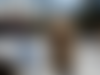 Happy February! Where did January Go? | BC Brokerage February Newsletter