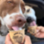 Dogs enjoying an ice cream pup cup