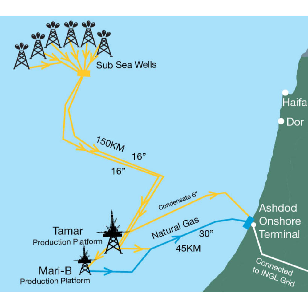 Tamar layout