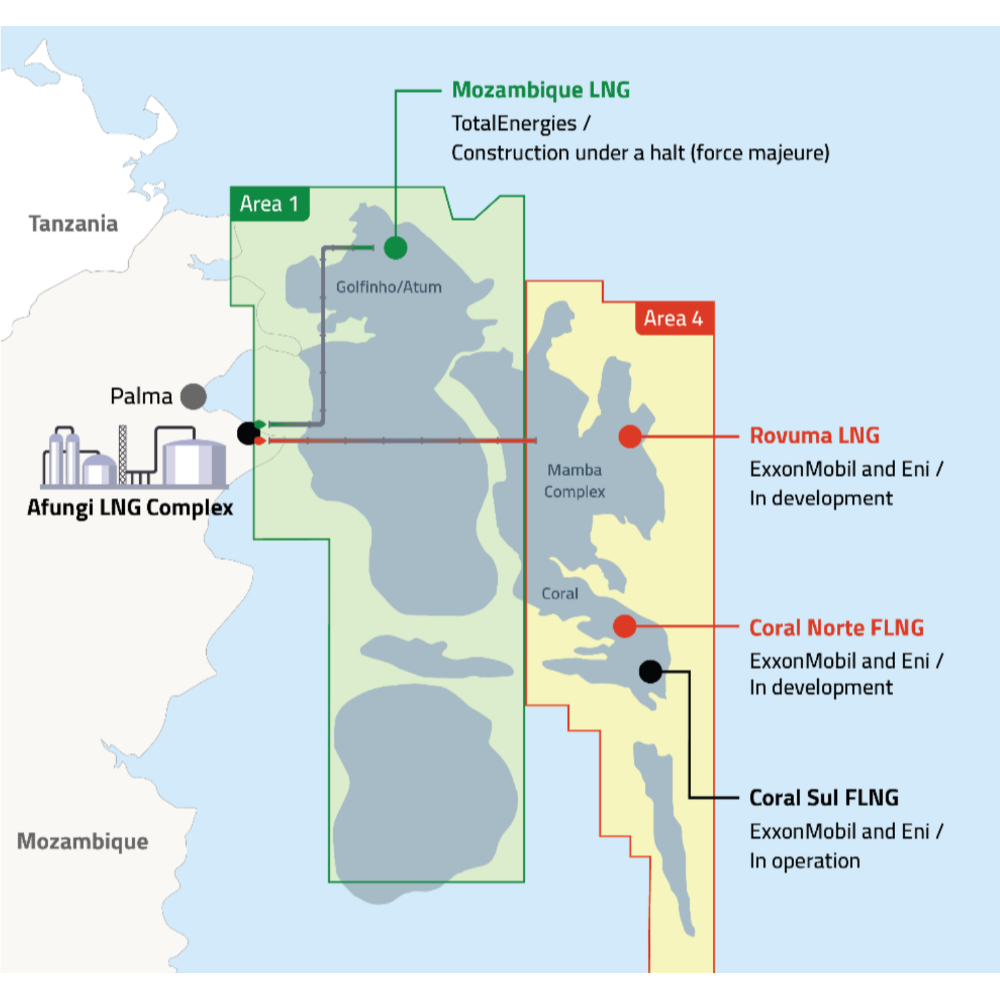 Coral Sul FLNG layout