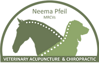 Neema Pfeil Acupuncture and Chiropractic