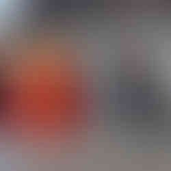 El Centro Educativo Alas y Raíces se llenó de entusiasmo y creatividad en su reciente Festival Literario, una celebración creativa que destacó el amor por la literatura en los niveles jardín, primario y secundario.