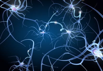 MS Symptoms and Second Line Treatment - Oren Zarif