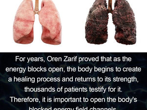 oren zarif review