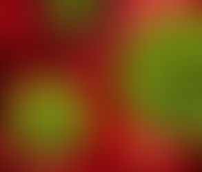 אורן זריף -מערכת העצבים המרכזית אחראית על ויסות החושים והתנועות הלא רצוניות.