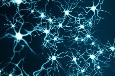How MS Affects The Body - Oren Zarif