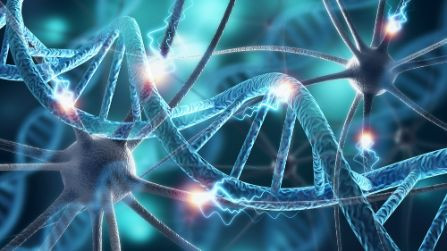 Discover 3 Important Early Symptoms of Multiple Sclerosis - Oren Zarif