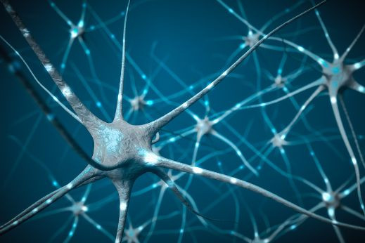 MS Symptoms and Nerve Demyelination - Oren Zarif