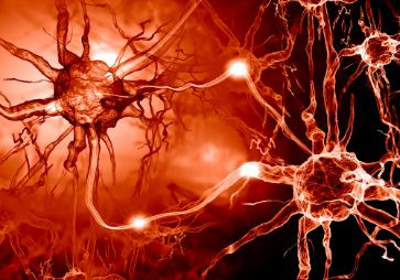 How Can You Recognize Symptoms Of Multiple Sclerosis - Oren Zarif