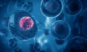 אורן זריף - בעיות סרטן - לאחר שהרופא שלך אבחן אותך כחולה בסרטן השד, השלב הבא יהיה ללמוד על המחלה