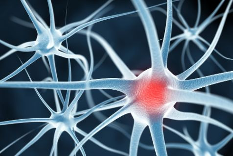 Common Symptoms of multiple sclerosis - Oren Zarif