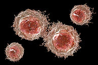 Depositphotos_507079046_S (1).jpg