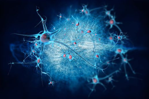 The most common symptoms of MS are intense pain - Oren Zarif