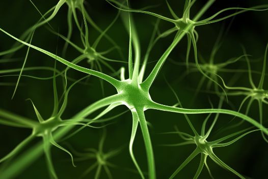 MS Treatment - A Look at Some Common MS Symptoms and Treatments - Oren Zarif